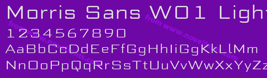 Morris Sans W01 LightPreview Morris Sans W01 LightPreview