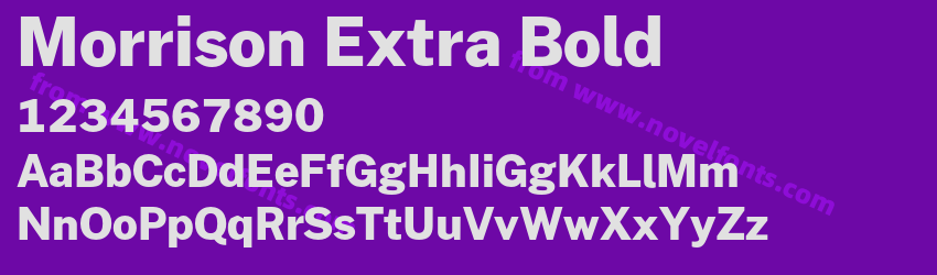 Morrison Extra BoldPreview Morrison Extra BoldPreview