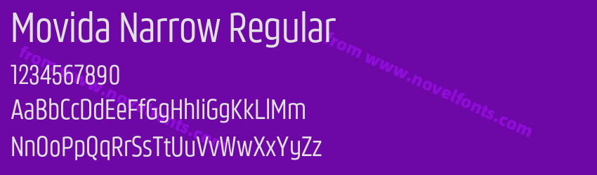 Movida Narrow RegularPreview Movida Narrow RegularPreview