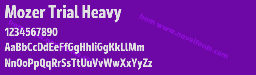 Mozer Trial HeavyPreview Mozer Trial HeavyPreview