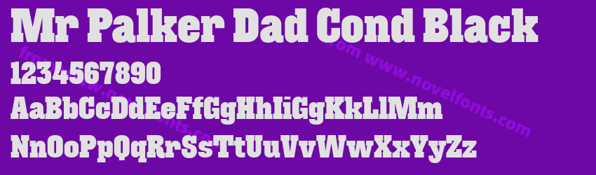 Mr Palker Dad Cond BlackPreview Mr Palker Dad Cond BlackPreview