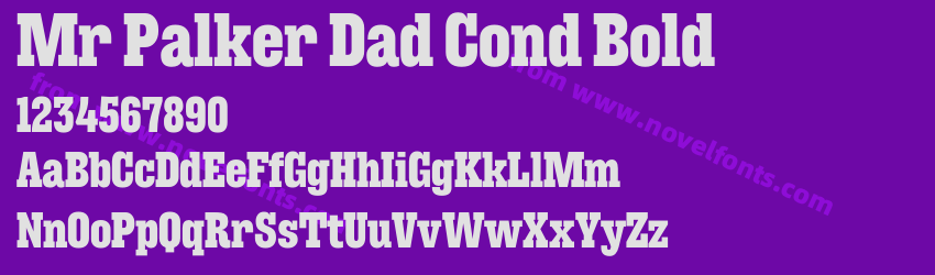 Mr Palker Dad Cond BoldPreview Mr Palker Dad Cond BoldPreview