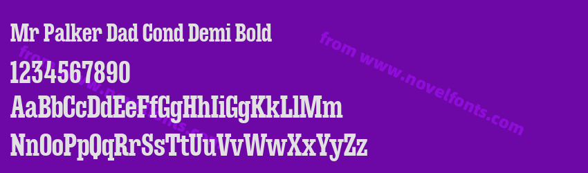 Mr Palker Dad Cond Demi BoldPreview Mr Palker Dad Cond Demi BoldPreview