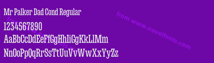 Mr Palker Dad Cond RegularPreview Mr Palker Dad Cond RegularPreview