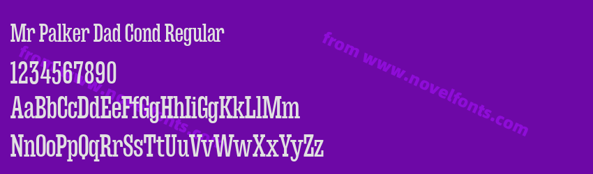 Mr Palker Dad Cond RegularPreview Mr Palker Dad Cond RegularPreview
