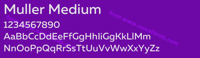 Muller MediumPreview Muller MediumPreview