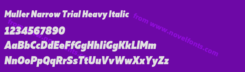 Muller Narrow Trial Heavy ItalicPreview Muller Narrow Trial Heavy ItalicPreview