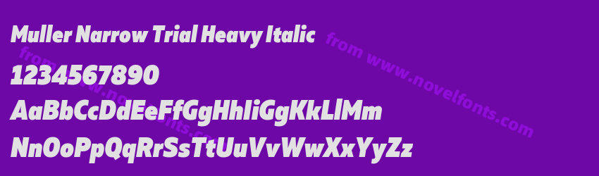 Muller Narrow Trial Heavy ItalicPreview Muller Narrow Trial Heavy ItalicPreview