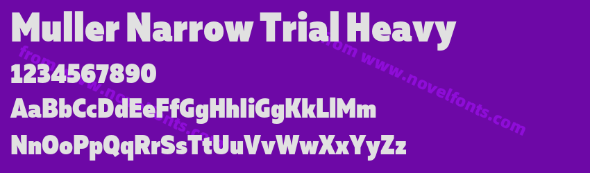 Muller Narrow Trial HeavyPreview Muller Narrow Trial HeavyPreview