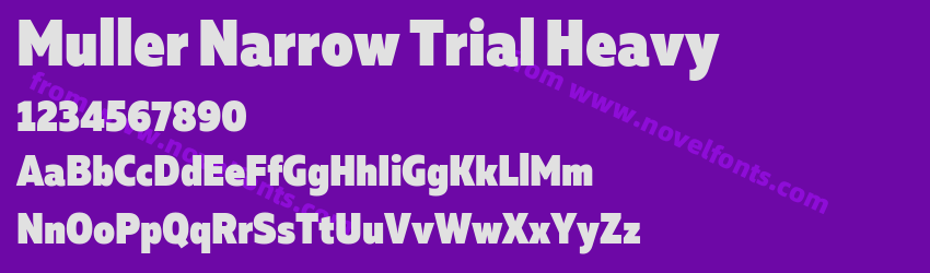 Muller Narrow Trial HeavyPreview Muller Narrow Trial HeavyPreview