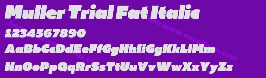 Muller Trial Fat ItalicPreview Muller Trial Fat ItalicPreview