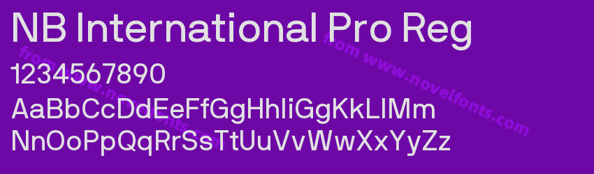NB International Pro RegPreview NB International Pro RegPreview