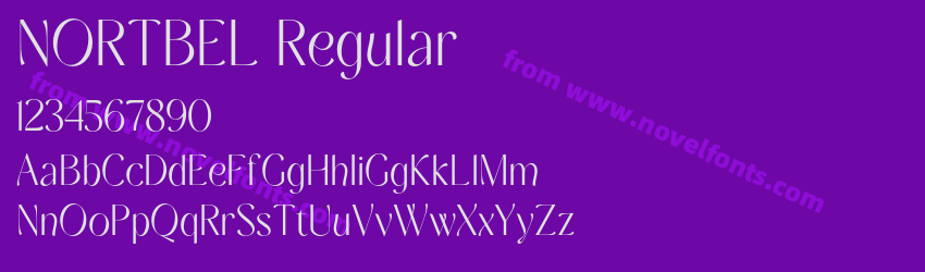 NORTBEL RegularPreview NORTBEL RegularPreview
