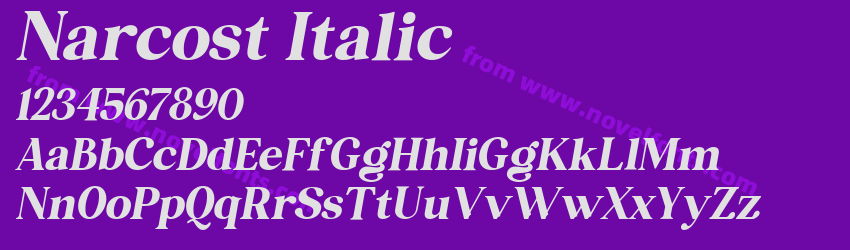 Narcost ItalicPreview Narcost ItalicPreview