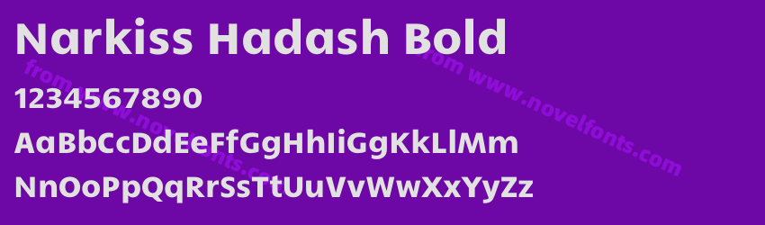 Narkiss Hadash BoldPreview Narkiss Hadash BoldPreview