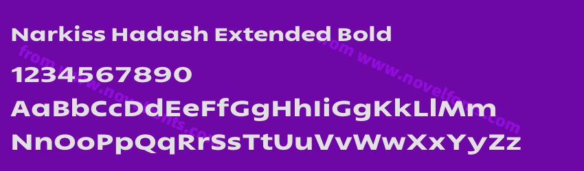 Narkiss Hadash Extended BoldPreview Narkiss Hadash Extended BoldPreview
