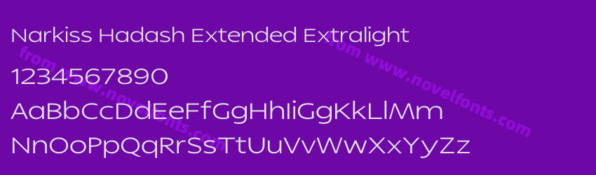 Narkiss Hadash Extended ExtralightPreview Narkiss Hadash Extended ExtralightPreview