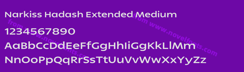 Narkiss Hadash Extended MediumPreview Narkiss Hadash Extended MediumPreview
