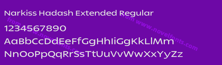 Narkiss Hadash Extended RegularPreview Narkiss Hadash Extended RegularPreview
