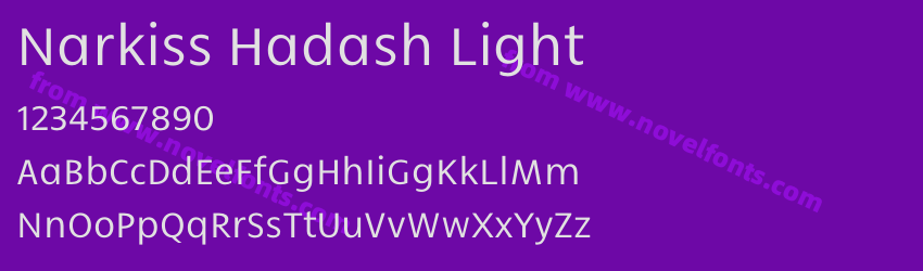 Narkiss Hadash LightPreview Narkiss Hadash LightPreview