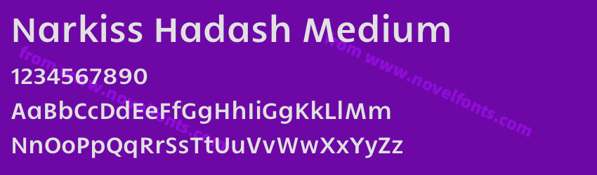 Narkiss Hadash MediumPreview Narkiss Hadash MediumPreview