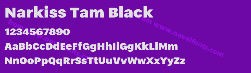 Narkiss Tam BlackPreview Narkiss Tam BlackPreview