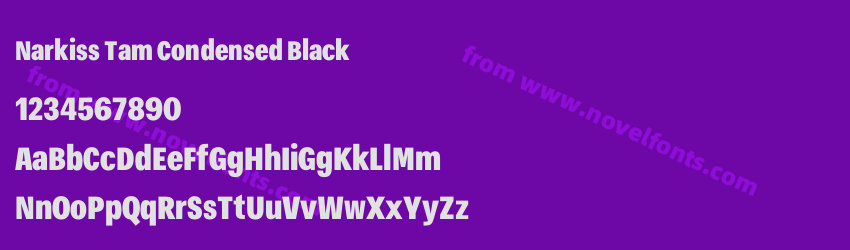 Narkiss Tam Condensed BlackPreview Narkiss Tam Condensed BlackPreview