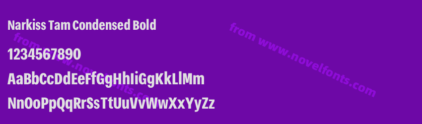 Narkiss Tam Condensed BoldPreview Narkiss Tam Condensed BoldPreview