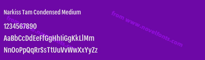 Narkiss Tam Condensed MediumPreview Narkiss Tam Condensed MediumPreview