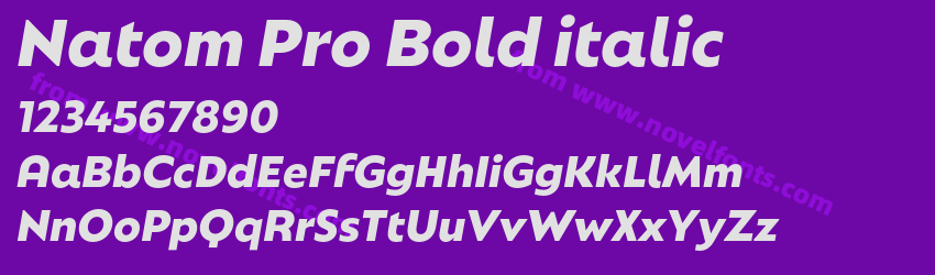 Natom Pro Bold italicPreview Natom Pro Bold italicPreview
