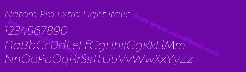 Natom Pro Extra Light italicPreview Natom Pro Extra Light italicPreview