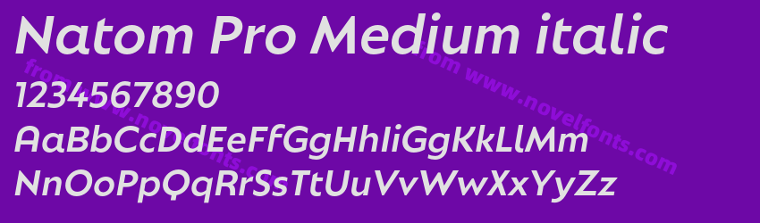 Natom Pro Medium italicPreview Natom Pro Medium italicPreview