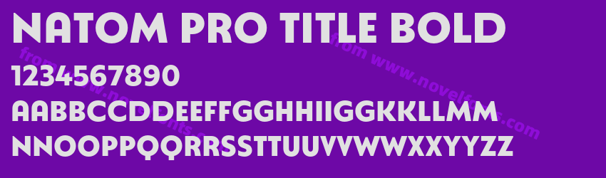 Natom Pro Title BoldPreview Natom Pro Title BoldPreview