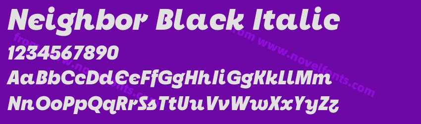 Neighbor Black ItalicPreview Neighbor Black ItalicPreview