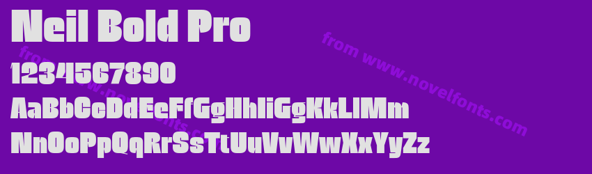 Neil Bold ProPreview Neil Bold ProPreview