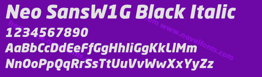 Neo SansW1G Black ItalicPreview Neo SansW1G Black ItalicPreview