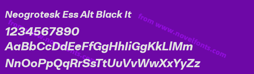 Neogrotesk Ess Alt Black ItPreview Neogrotesk Ess Alt Black ItPreview