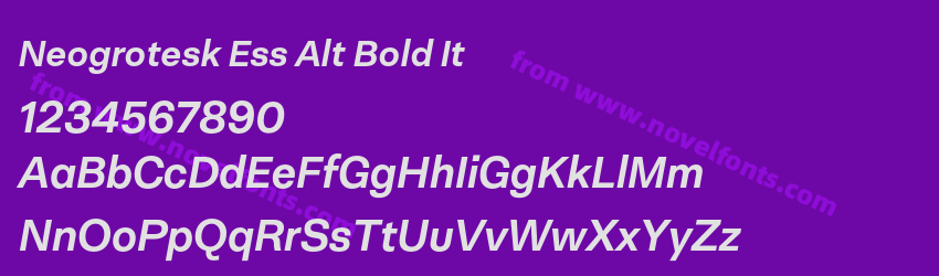 Neogrotesk Ess Alt Bold ItPreview Neogrotesk Ess Alt Bold ItPreview