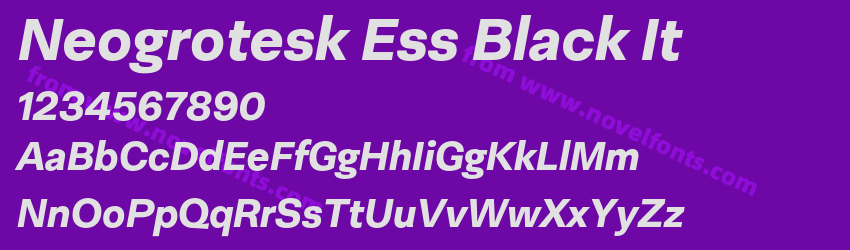 Neogrotesk Ess Black ItPreview Neogrotesk Ess Black ItPreview