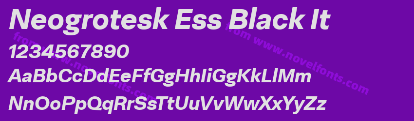 Neogrotesk Ess Black ItPreview Neogrotesk Ess Black ItPreview