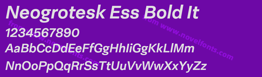 Neogrotesk Ess Bold ItPreview Neogrotesk Ess Bold ItPreview