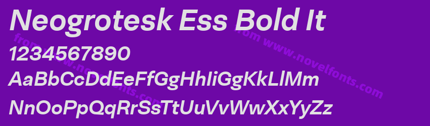 Neogrotesk Ess Bold ItPreview Neogrotesk Ess Bold ItPreview