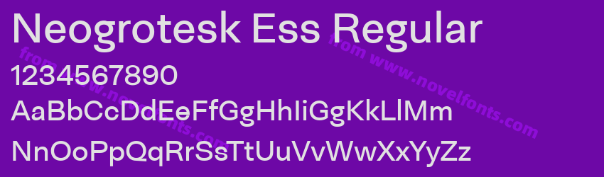 Neogrotesk Ess RegularPreview Neogrotesk Ess RegularPreview