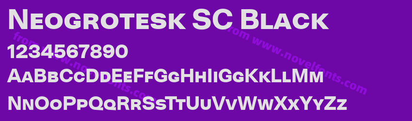 Neogrotesk SC BlackPreview Neogrotesk SC BlackPreview