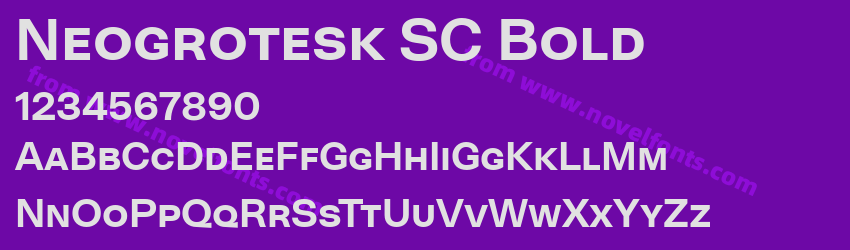 Neogrotesk SC BoldPreview Neogrotesk SC BoldPreview