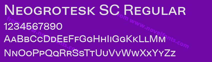 Neogrotesk SC RegularPreview Neogrotesk SC RegularPreview