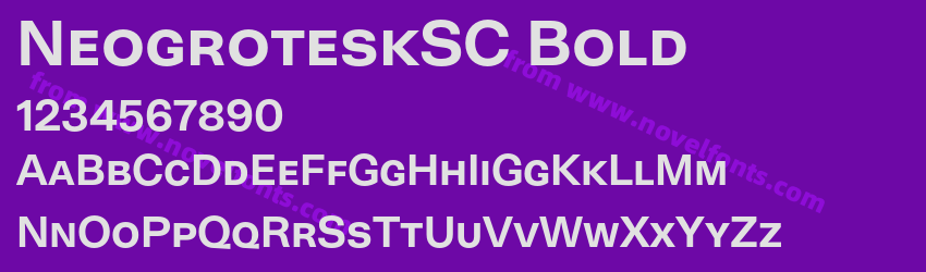 NeogroteskSC BoldPreview NeogroteskSC BoldPreview