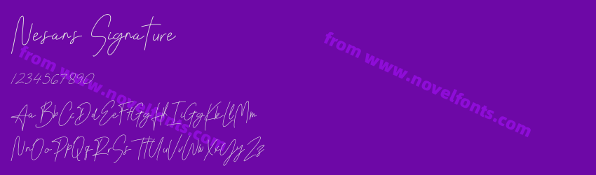 Nesans SignaturePreview Nesans SignaturePreview