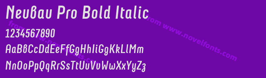Neubau Pro Bold ItalicPreview Neubau Pro Bold ItalicPreview