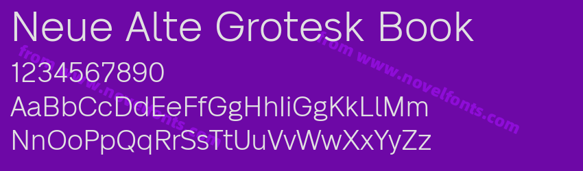 Neue Alte Grotesk BookPreview Neue Alte Grotesk BookPreview